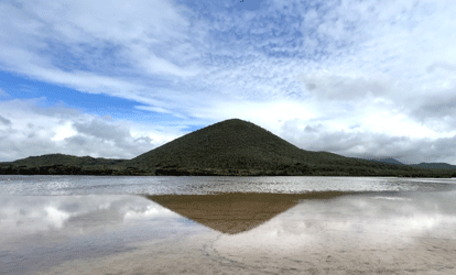 Cerro pajas cubierto de vegetacion visto desde la playa.
