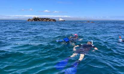 People snorkeling in drowned stone Galapagos.