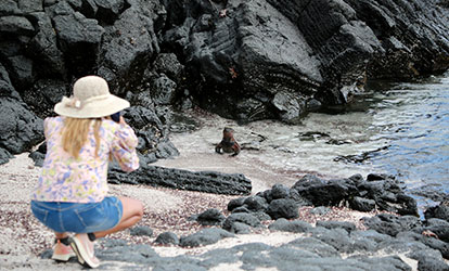Persona fotografiando una iguana marina.
