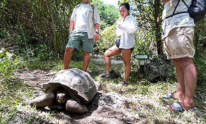 Personas observando una Tortuga Gigante.