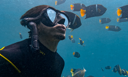 Persona haciendo snorkeling rodeado de muchos peces con aletas amarillas y naranjas.