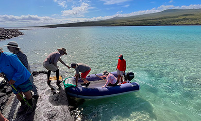 Desembarque seco en la isla Lobos.