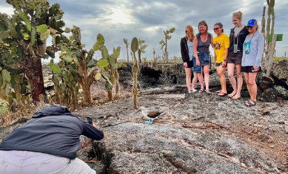 Photography with a blue-footed booby