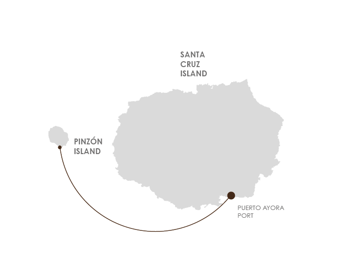Map with the route of the tour to Pinzón Island from Santa Cruz Island.