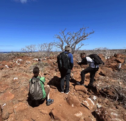 Tourists watching a red-breasted frigatebird.