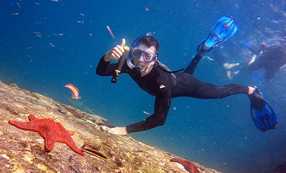 Person snorkeling next to a sea star.