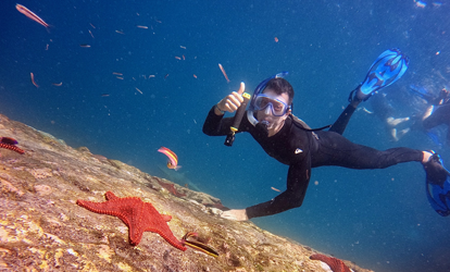 Persona haciendo snorkeling junto a una estrella marina.