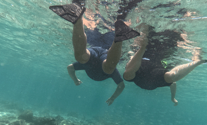 Turistas haciendo snorkeling sobre arrecife.