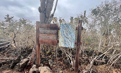 Canal de tiburones sign