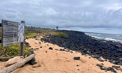 Playa de los Perros Santa Cruz island Galapagos.
